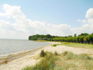 a sandy beach next to the water with trees at Maisionette Wohnung im Hafenmeisterhaus Lauterbach in Lauterbach