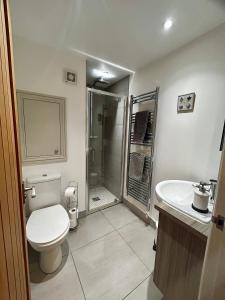 a bathroom with a toilet and a shower and a sink at Tanyard Barn - North Yorkshire in York