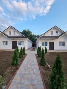 a house with christmas trees in the yard at CAZARE EDI in Corbu