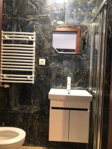 スミジャニにあるStudio agnieszka 1のバスルーム(トイレ、洗面台、鏡付)