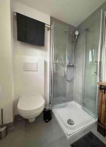 un bagno con wc e doccia in vetro di Neue Ferienwohnung direkt am Vulkanradweg a Ortenberg