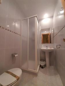 a bathroom with a shower and a toilet and a sink at Hostal Gúdar in Gúdar