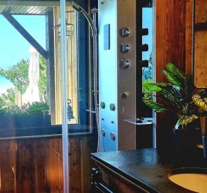uma casa de banho com um lavatório e uma janela com uma planta em À Saint-Pair-sur-Mer -Maison de vacances- Double Perspective - Manche em Saint-Pair-sur-Mer