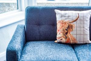 a cow sitting on a blue couch with a pillow at Touchwood House Llandudno in Llandudno