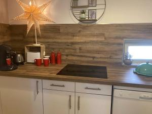 una cucina con bancone e parete in legno di Appartement T3 centre ville a Narbonne