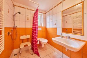 a bathroom with a sink and a toilet and a shower at Apartmány Eva in Janske Lazne +33 photos