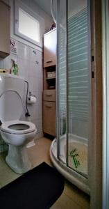 YerakiníにあるJenny's Houseの小さなバスルーム(トイレ、シャワー付)