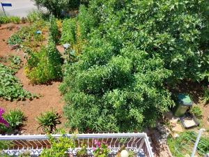 Сад в Apartmani Toni Vodice