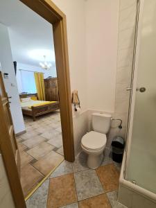 La salle de bains est pourvue de toilettes et d'une douche avec baignoire. dans l'établissement Agroturystyka Galant, à Połęczyno