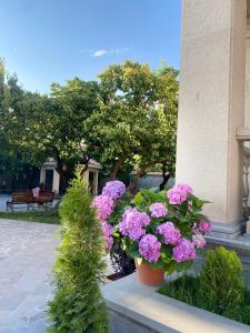 een bos roze bloemen in potten naast een gebouw bij WaterFall Hotel in Jerevan