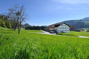 um campo de relva verde com uma casa ao fundo em AuszeitHof Vögel em Sulzberg