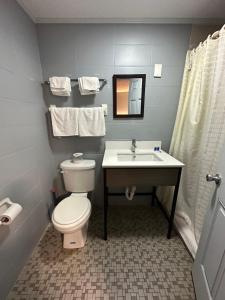 a bathroom with a toilet and a sink at Rodeway Inn & Suites in Walhalla