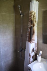 a bathroom with a shower with a shower curtain at Matanovi dvori in Livno