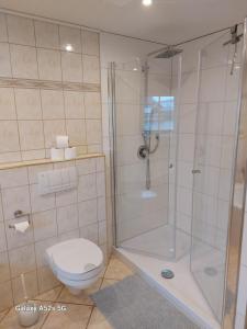 uma casa de banho com um chuveiro e um WC. em Ferienhaus zum Nautzschketal mit Fewo Uta und Fewo Regina em Gröbitz