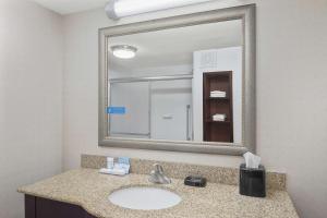 Hampton Inn Fairhope-Mobile Bay, AL的一间浴室