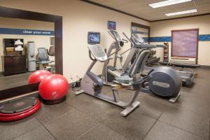 una palestra con macchinari per il cardio-fitness, una palla e pesi di Hampton Inn & Suites Mobile Providence Park/Airport a Mobile