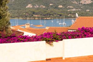 uma vista para o porto a partir de uma casa com flores roxas em trilocale con piscina em Arzachena