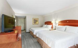 TV/Unterhaltungsangebot in der Unterkunft Hampton Inn & Suites North Conway