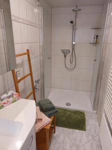 a bathroom with a shower and a bath tub at Ferienhaus zum Nautzschketal mit Fewo Uta und Fewo Regina in Gröbitz