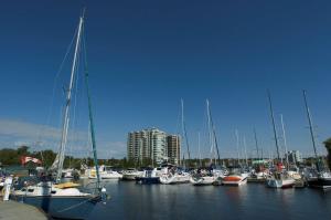 Un gruppo di barche ormeggiate in un porto turistico di Hampton Inn & Suites by Hilton Barrie a Barrie