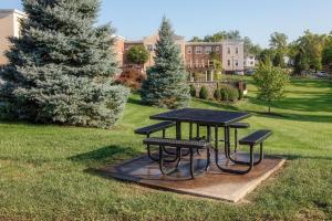 a picnic table in a park with two benches at Hampton Inn Oxford/Miami University Area in Oxford