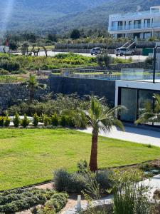 a palm tree in a park in front of a building at Hermes Penthouse Sea Sky & Mountains in Akanthou