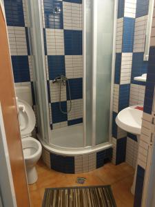 a bathroom with a shower and a toilet and a sink at Hotel Vila Alex in Costinesti