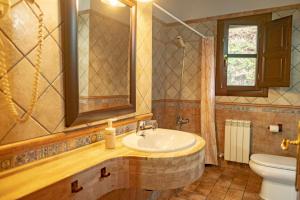 a bathroom with a sink and a toilet and a mirror at Apartamentos La Güertona in Sardalla
