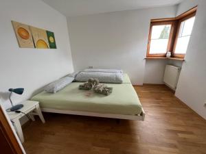 een slaapkamer met een bed in een kamer bij Apartment Riedwiese in Hörbranz