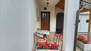 Fotografie z fotogalerie ubytování Apartment Andrea v destinaci Smoljanac