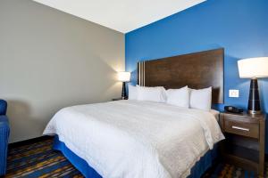 Postel nebo postele na pokoji v ubytování Hampton Inn Kenedy