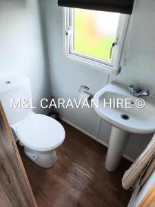 a bathroom with a white toilet and a sink at Blue Dolphin Holiday Park in Gristhorpe