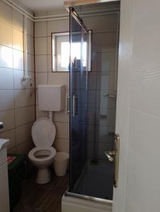 a bathroom with a toilet and a glass shower at Vila Milica in Kladovo