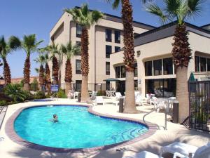 a person swimming in a pool with palm trees at Hampton Inn St. George in St. George