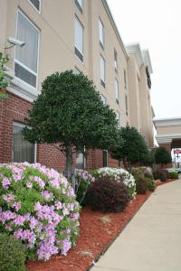 a building with pink flowers in front of a building at Hampton Inn Shreveport-Airport in Shreveport