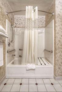 a bathroom with a bath tub with a shower curtain at Hampton Inn Salt Lake City-Layton in Layton