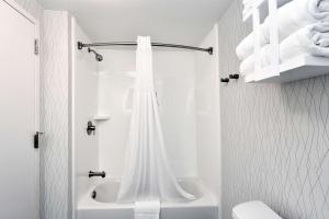 a white bathroom with a shower curtain and a toilet at Hampton Inn Santee-I-95 in Santee