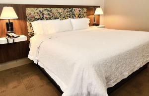 a large white bed in a hotel room at Hampton Inn Santee-I-95 in Santee