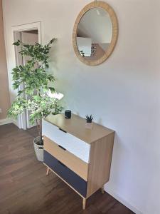 een dressoir met een spiegel en een plant in een kamer bij Le Saint-Quentin in Longeville-lès-Metz