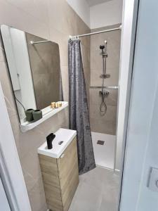 een badkamer met een douche, een wastafel en een spiegel bij Le Saint-Quentin in Longeville-lès-Metz
