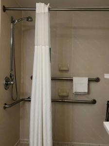 Hampton Inn by Hilton Spring Hill的一间浴室