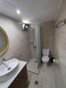 La salle de bains est pourvue de toilettes, d'un lavabo et d'une douche. dans l'établissement La maison d Aspasia, à Kamilárion