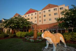 a statue of a dog in front of a building at Hilton Garden Inn Starkville in Starkville