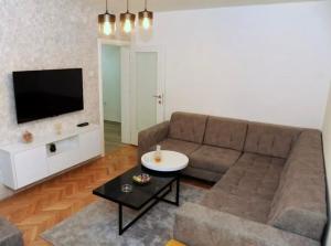 een woonkamer met een bank en een tv bij Apartman Oaza in Nikšić