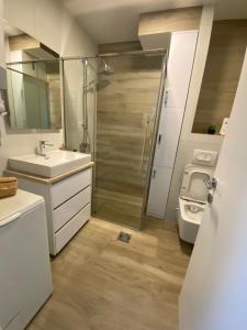 een badkamer met een douche, een wastafel en een toilet bij Apartman Oaza in Nikšić
