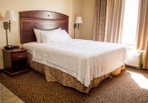 a hotel room with a large bed and a window at Hampton Inn Plover-Stevens Point in Plover