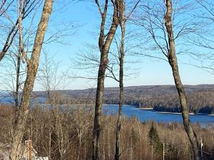 Gallery image of Chalet avec Spa Baskatong in Mont-Laurier