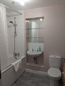 ein Bad mit einem WC, einem Waschbecken und einer Dusche in der Unterkunft Homely 2 bed duplex with a river view in Southampton
