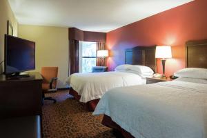 タンパにあるHampton Inn & Suites Tampa-Northのベッド2台、薄型テレビが備わるホテルルームです。