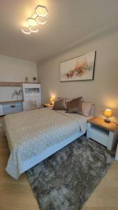 Кровать или кровати в номере Baroness apartments